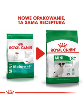 Royal Canin Mini Adult 8+ karma sucha dla psów starszych od 8 do 12 roku życia, ras małych 800g