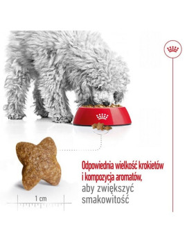 Royal Canin Mini Adult karma sucha dla psów dorosłych, ras małych 0,8kg