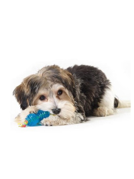 Petstages Orka zestaw gryzaków ultra mini PS234