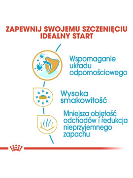 Royal Canin Chihuahua Puppy karma sucha dla szczeniąt do 8 miesiąca, rasy chihuahua 0,5kg