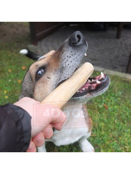 4DOGS Gryzak z drzewa kawowego S