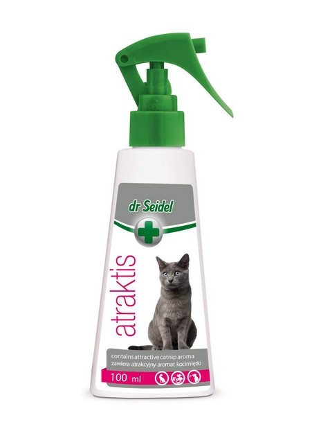 Dr Seidel Atraktis - preparat z kocimietką 100ml
