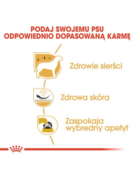 Royal Canin West Highland White Terrier Adult karma sucha dla psów dorosłych rasy west highland white terrier 0,5kg