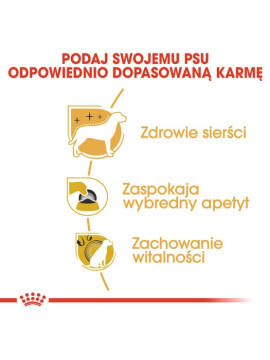 Royal Canin Yorkshire Terrier Adult karma sucha dla psów dorosłych rasy yorkshire terrier 0,5kg