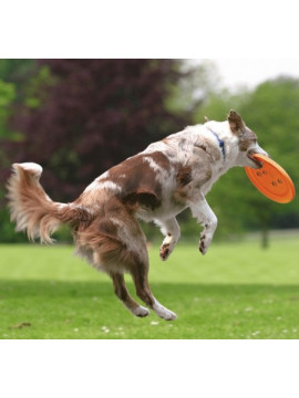Trixie Rzutka dla psa Dog Activity 19cm [33561]