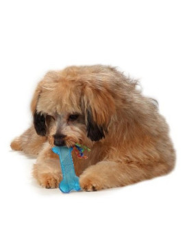 Petstages Orka Mini Kosteczka PS221