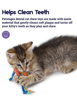 Petstages Gryzaki do higieny zębów kota PS326