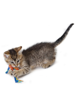 Petstages Gryzaki do higieny zębów kota PS326