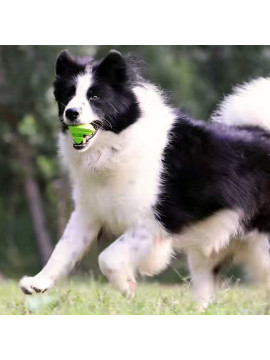PetDreamHouse Zabawka gumowa Geo-Gem Rolly zielona