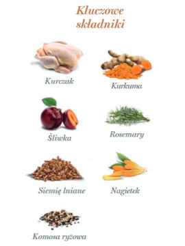Amanova Dog Adult Exquisite Chicken - kurczak saszetka 300g [P03]