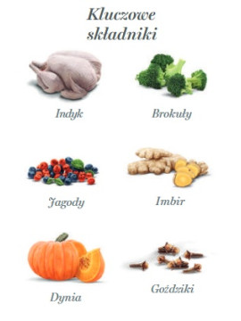 Amanova Dog Adult Turkey Delight - indyk saszetka 300g [P07]