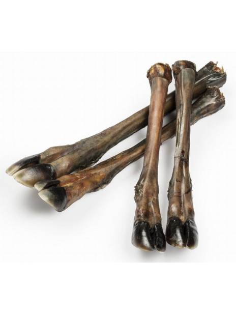 Balto Racica jelenia 2szt