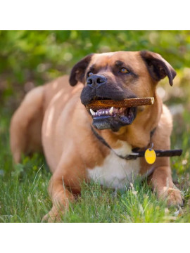 4DOGS Gryzak z poroża S easy