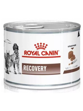 Royal Canin Veterinary Diet Recovery puszka 195g
