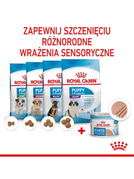 Royal Canin Starter Mother&Babydog karma mokra - mus, dla suk w czasie ciąży, laktacji oraz szczeniąt puszka 195g