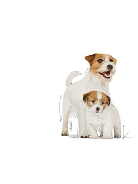 Royal Canin Starter Mother&Babydog karma mokra - mus, dla suk w czasie ciąży, laktacji oraz szczeniąt puszka 195g