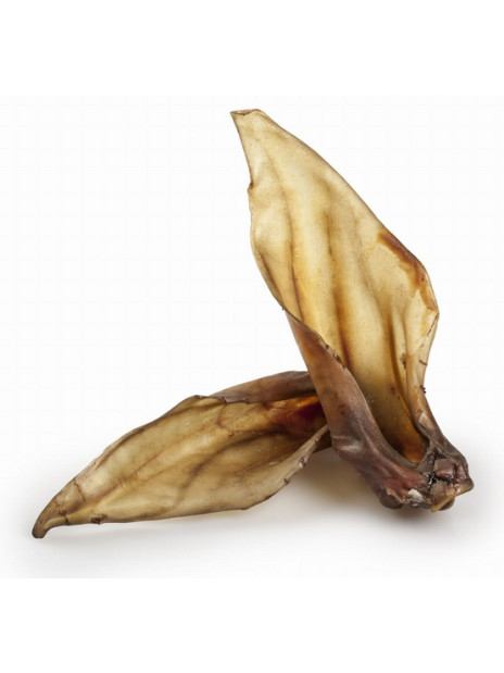 Balto Ucho jelenia 1szt