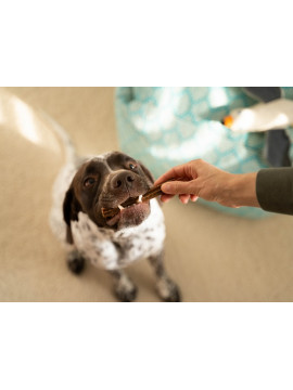 Josera Denties Turkey & Apple 180g