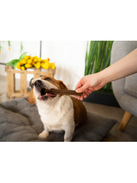 Josera Denties Turkey & Apple 180g