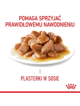 Royal Canin Urinary Care karma mokra dla kotów dorosłych, ochrona dolnych dróg moczowych saszetka 85g