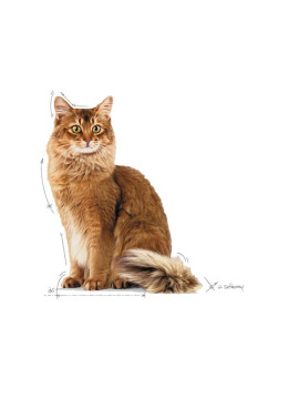Royal Canin Light Weight Care w galaretce karma mokra dla kotów dorosłych, z tendencją do nadwagi saszetka 85g