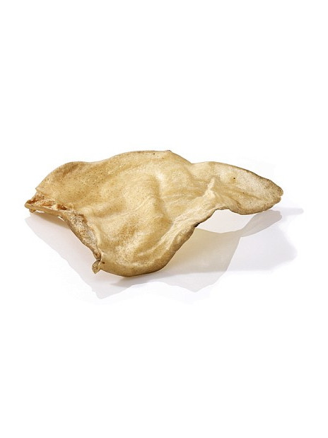 Maced Ucho wołowe 1szt folia