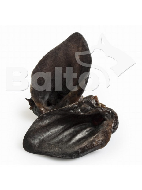 Balto Ucho dzika 1szt