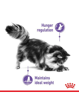 Royal Canin Appetite Control Care karma mokra w sosie dla kotów dorosłych, domagających się jedzenia saszetka 85g