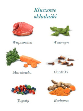 Amanova Dog Adult Iberian Pork - wieprzowina saszetka 100g [P04]