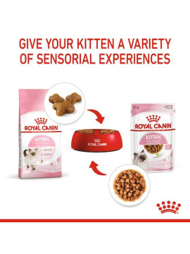 Royal Canin Kitten w galaretce karma mokra dla kociąt do 12 miesiąca życia saszetka 85g