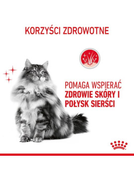 Royal Canin Hair & Skin Care karma mokra w galaretce dla kotów dorosłych, lśniąca sierść i zdrowa skóra saszetka 85g