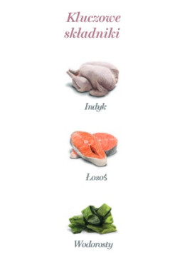 Amanova Cat Tasty Salmon & Turkey - łosoś i indyk saszetka 85g [P11]