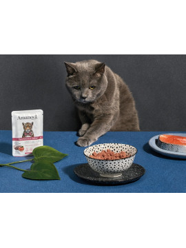 Amanova Cat Tasty Salmon & Turkey - łosoś i indyk saszetka 85g [P11]