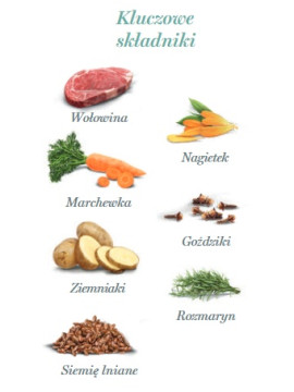 Amanova Dog Adult Irresistible Beef - wołowina saszetka 100g [P02]