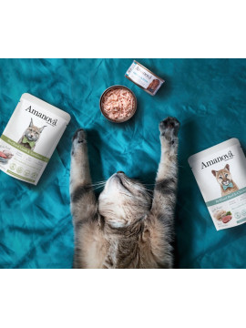 Amanova Cat Chicken & Tuna - kurczak i tuńczyk w bulionie puszka 70g [05]