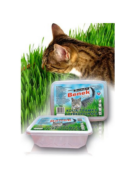 Super Benek Trawka szybkorosnąca dla kota 150g
