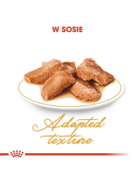 Royal Canin Maine Coon karma mokra w sosie dla kotów dorosłych rasy maine coon saszetka 85g