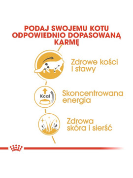 Royal Canin Maine Coon karma mokra w sosie dla kotów dorosłych rasy maine coon saszetka 85g