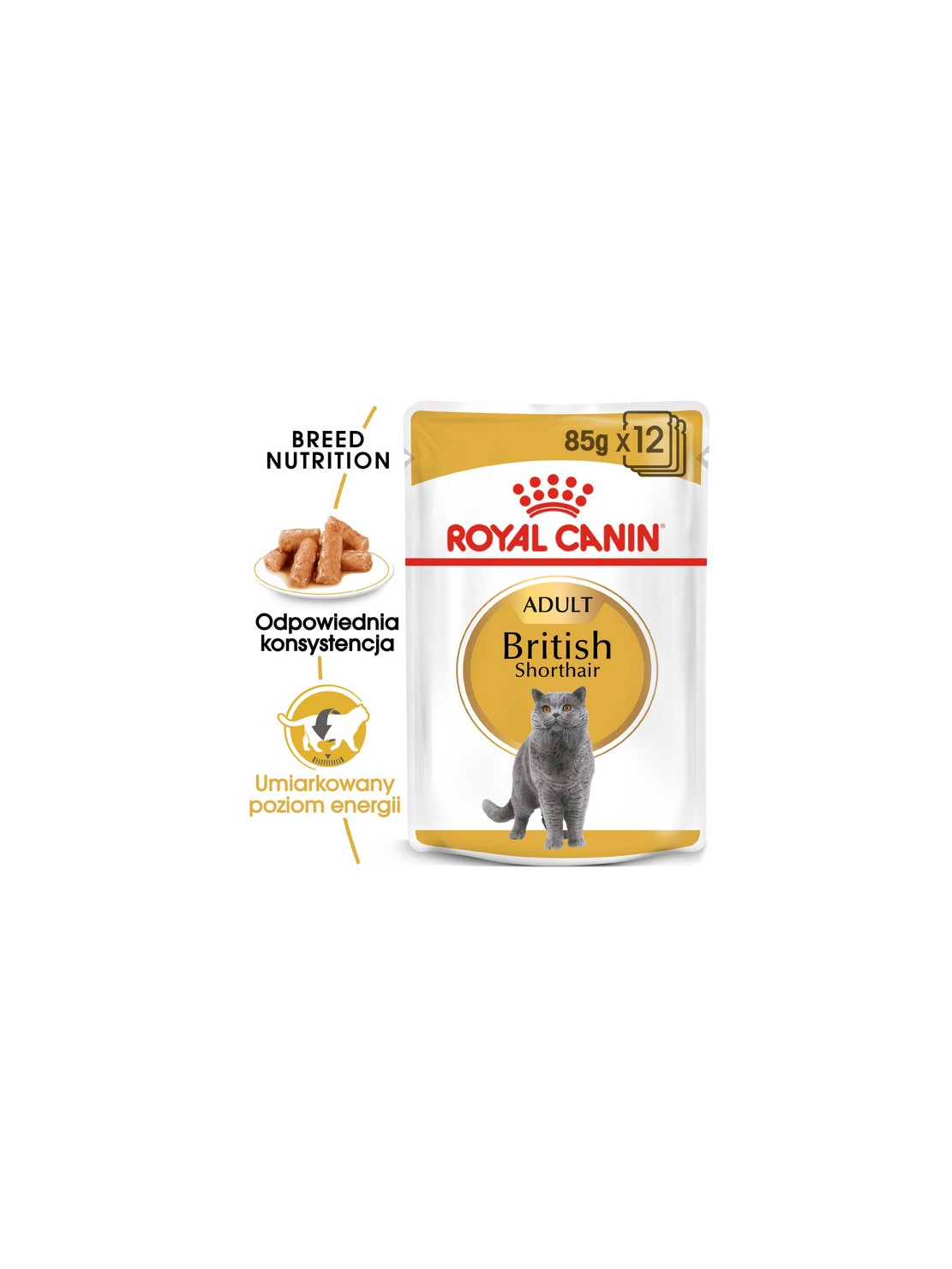 Royal Canin British Shorthair karma mokra w sosie dla kotów dorosłych rasy brytyjski krótkowłosy saszetka 85g