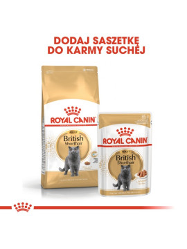 Royal Canin British Shorthair karma mokra w sosie dla kotów dorosłych rasy brytyjski krótkowłosy saszetka 85g