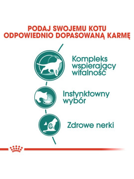Royal Canin Instinctive +7 w sosie karma mokra dla kotów starszych, wybrednych saszetka 85g