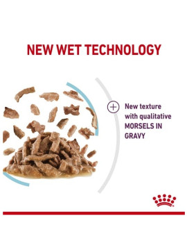 Royal Canin Sensory Feel w sosie karma mokra dla kotów dorosłych saszetka 85g