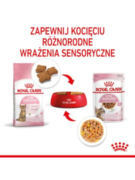 Royal Canin Kitten Sterilised karma mokra w galaretce dla kociąt od 6 do 12 miesiąca życia, sterylizowanych saszetka 85g