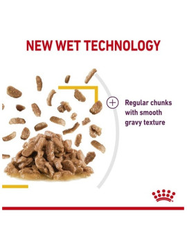 Royal Canin Sensory Taste w sosie karma mokra dla kotów dorosłych saszetka 85g