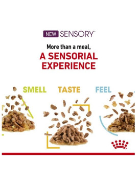 Royal Canin Sensory Taste w sosie karma mokra dla kotów dorosłych saszetka 85g
