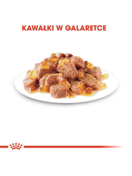 Royal Canin Sterilised w galaretce karma mokra dla kotów dorosłych, sterylizowanych saszetka 85g