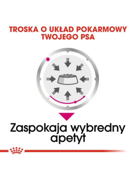 Royal Canin Exigent karma mokra dla wybrednych psów dorosłych, wszystkich ras, pasztet saszetka 85g