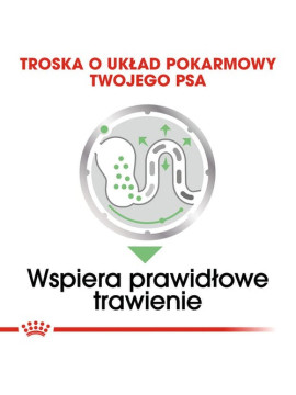 Royal Canin Digestive Care karma mokra dla psów dorosłych, wszystkich ras o wrażliwym przewodzie pokarmowym saszetka 85g