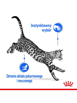 Royal Canin Indoor Sterilised Jelly karma mokra dla kotów dorosłych sterylizowanych, przebywających w domu saszetka 85g