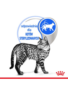 Royal Canin Indoor Sterilised Jelly karma mokra dla kotów dorosłych sterylizowanych, przebywających w domu saszetka 85g